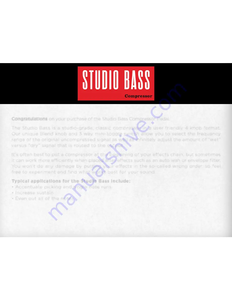 Duncan STUDIO BASS User Manual Download Page 2