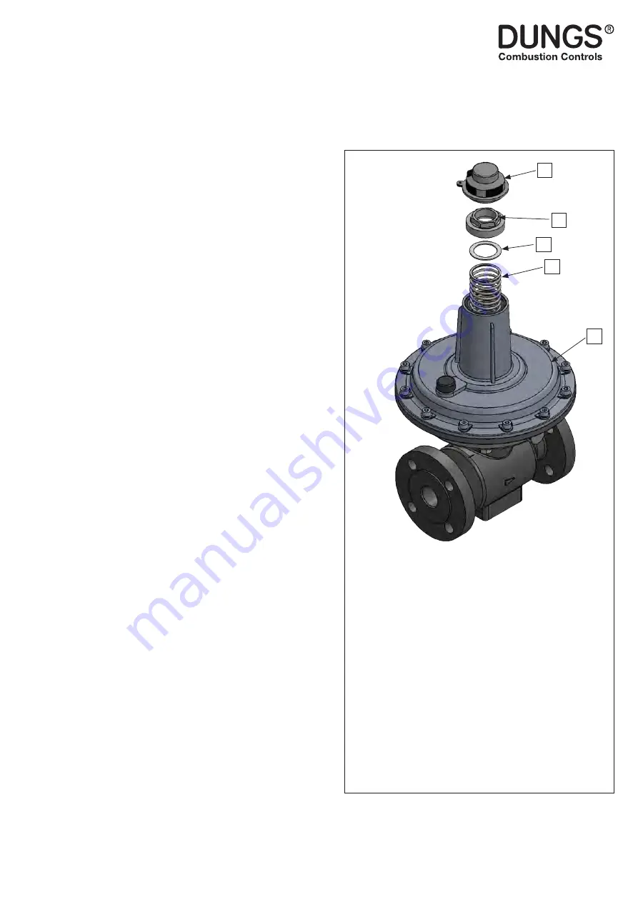 Dungs 279042 Скачать руководство пользователя страница 25