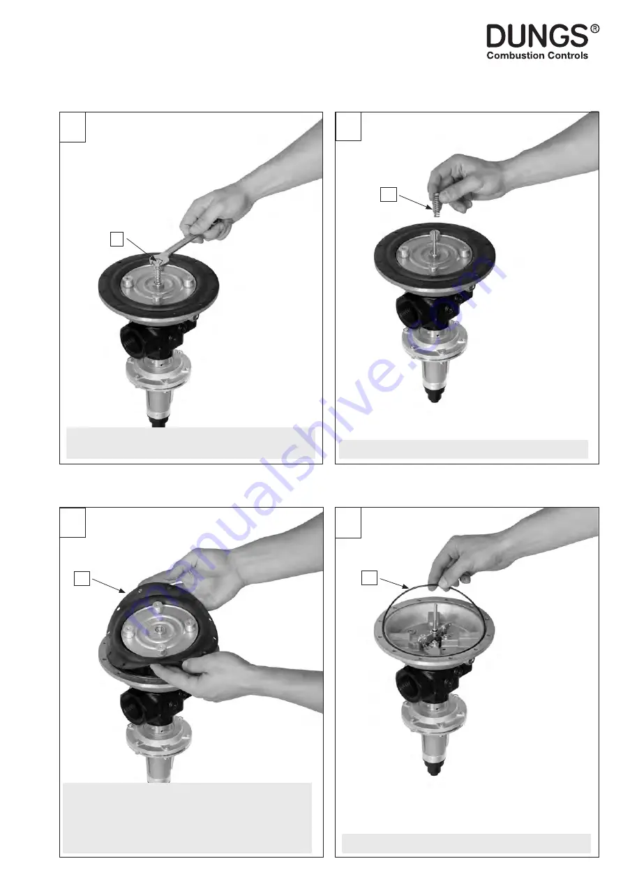 Dungs 279042 Instruction Manual Download Page 49