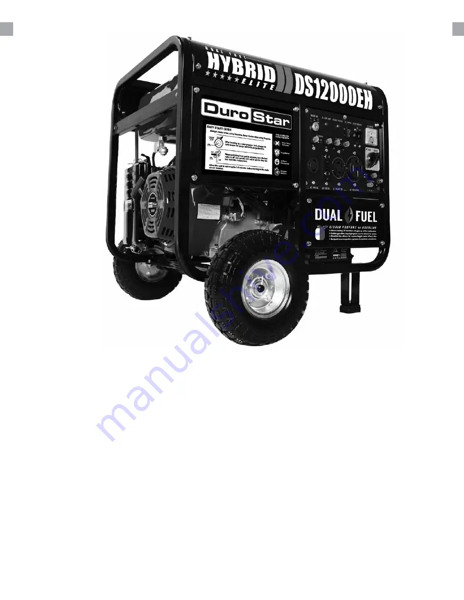 DUROMAX DuroStar DS12000EH User Manual Download Page 17