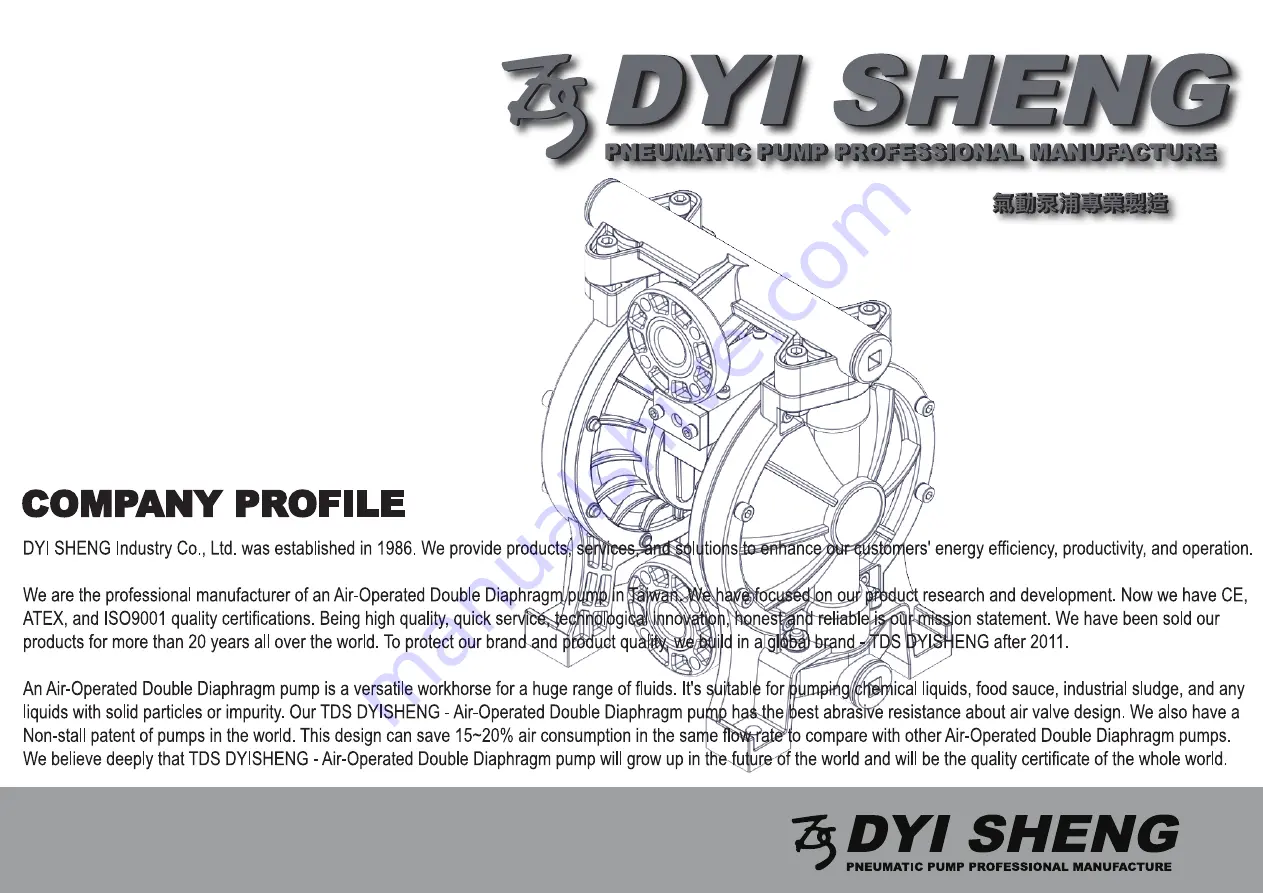 DYI SHENG DS10-P-02 Operating Manual Download Page 1