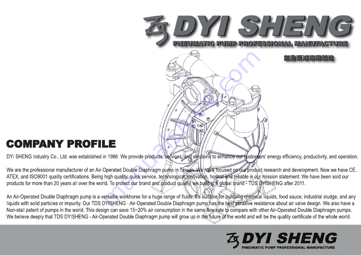 DYI SHENG DS20-S-01 Скачать руководство пользователя страница 1