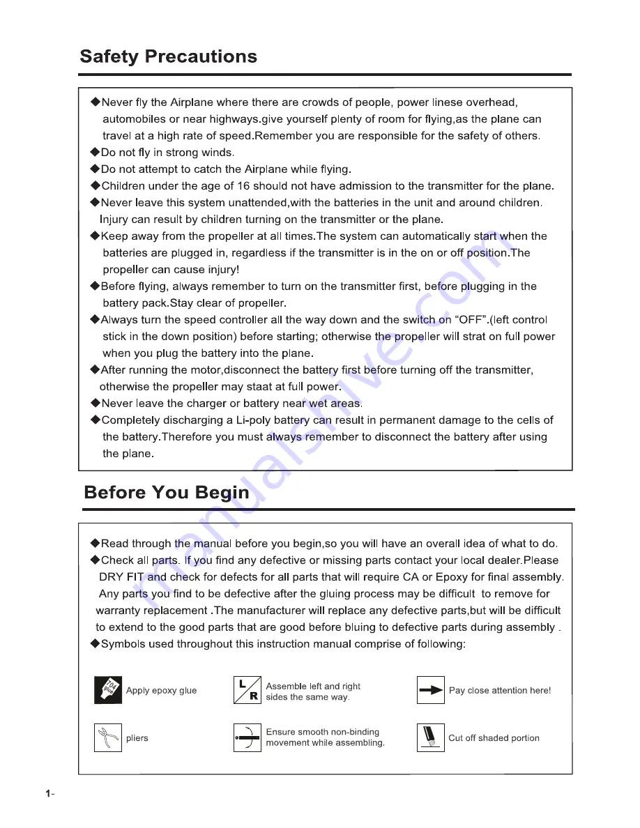 Dynam GeeBee Y Instruction Manual Download Page 2