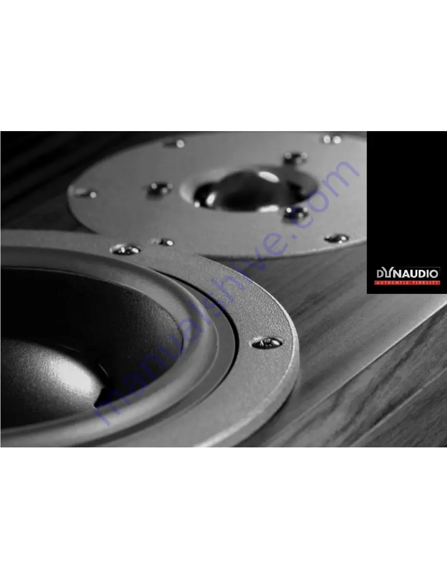 Dynaudio Focus 110 A Скачать руководство пользователя страница 1