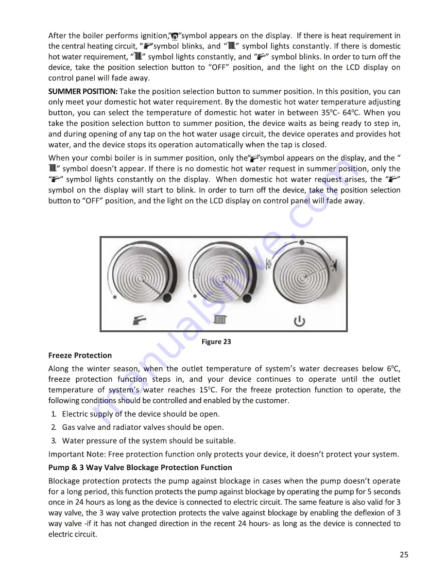 E.C.A. Proteus Plus Blue 24 kW Installation And Operating Instructions Manual Download Page 27