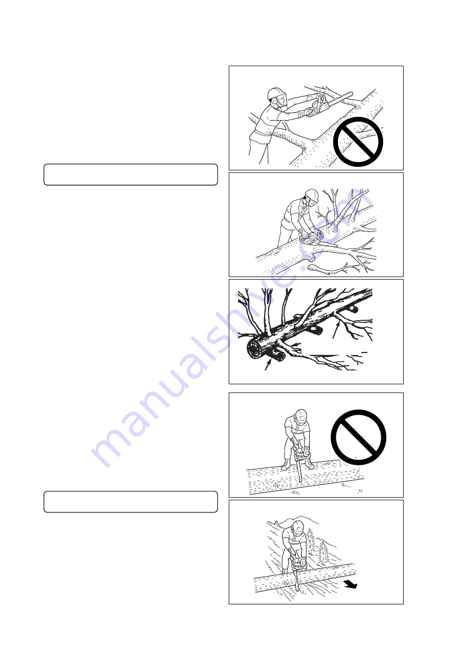 Echo CS-1201 Operator'S Manual Download Page 12