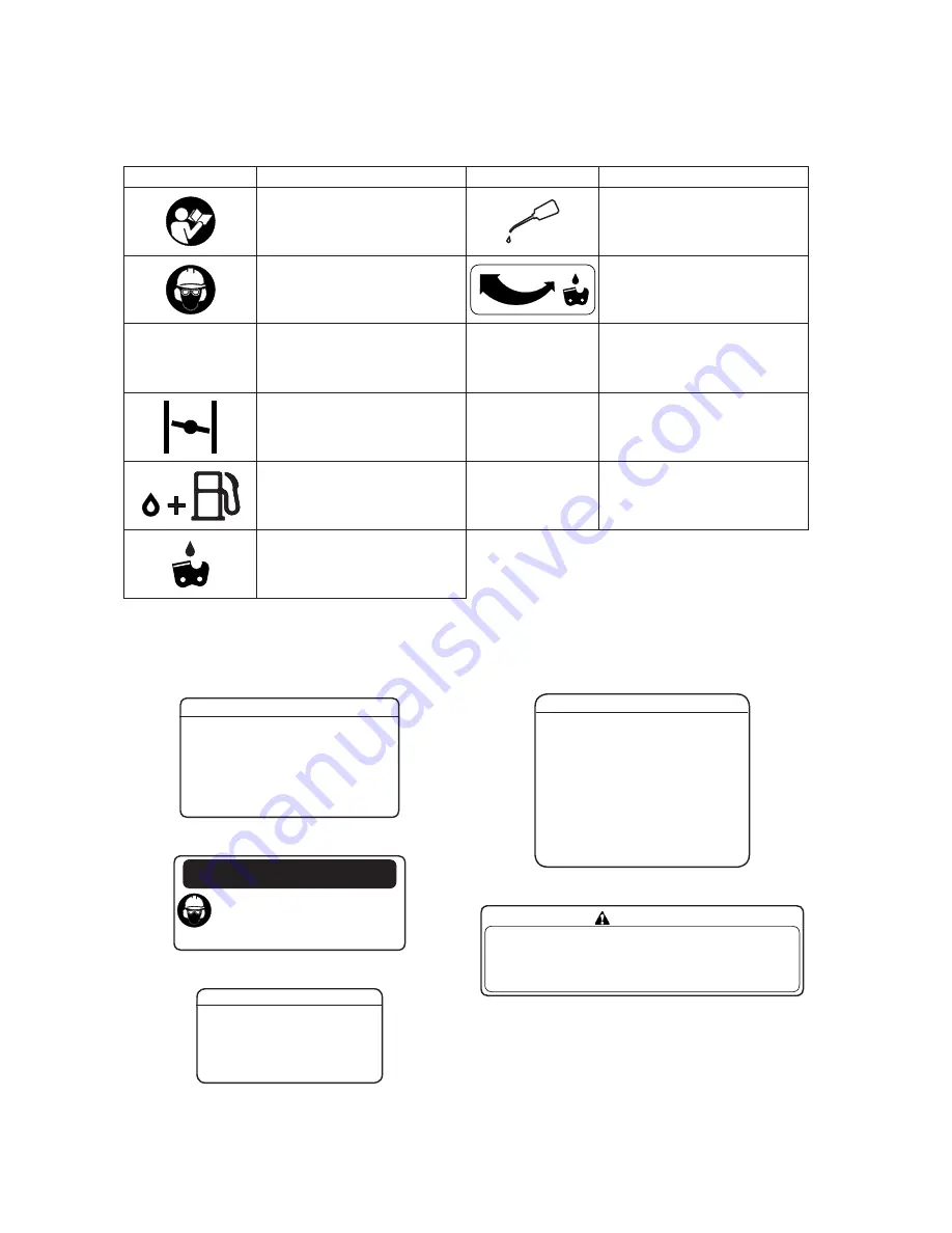 Echo CS-8000 Instruction Manual Download Page 6