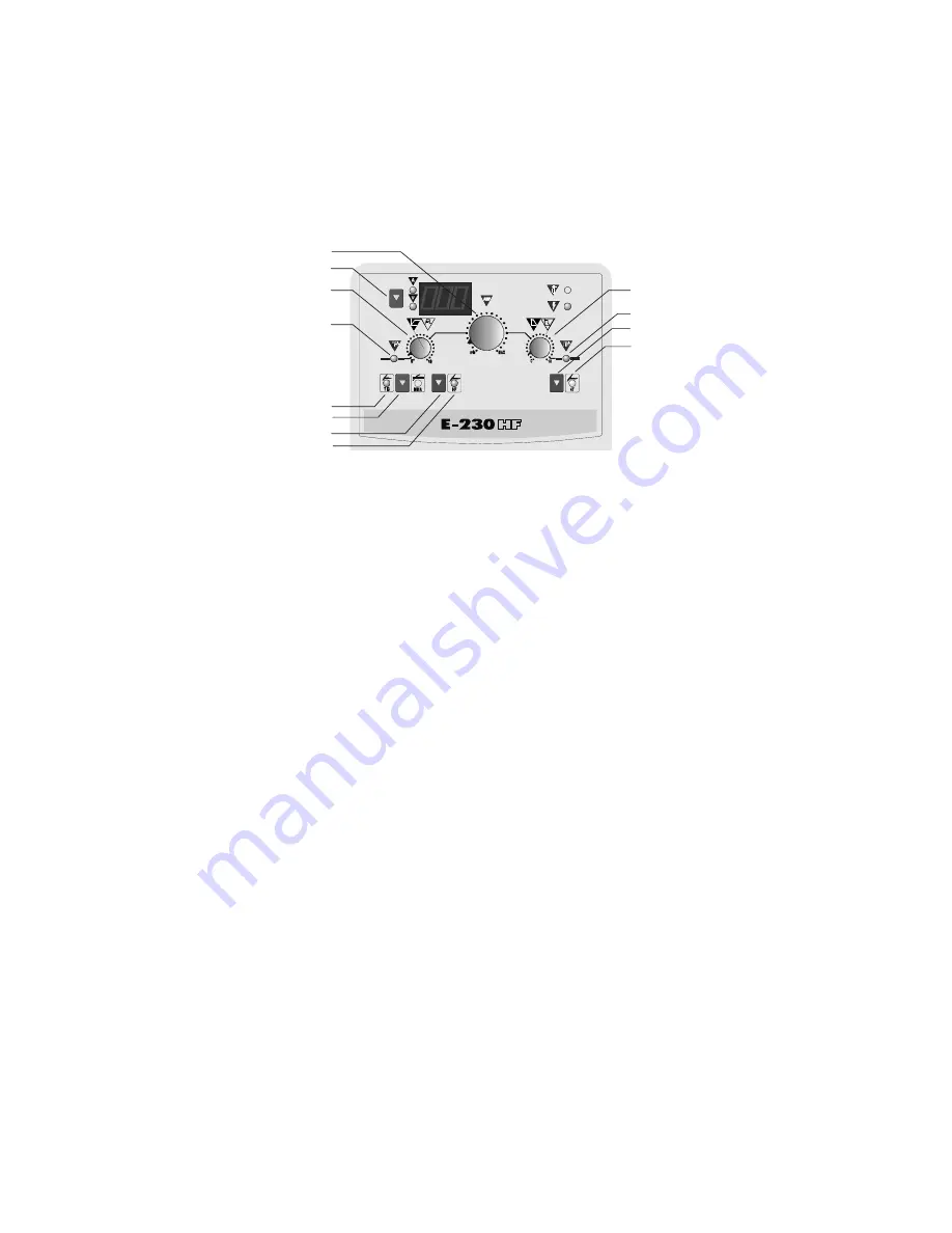 Electrex E 230 User Manual Download Page 41