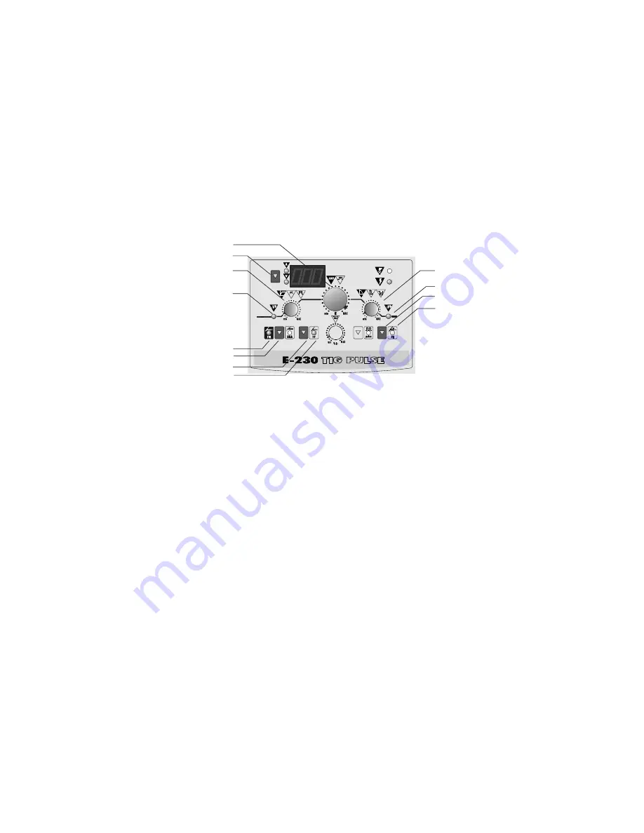 Electrex E 230 User Manual Download Page 43