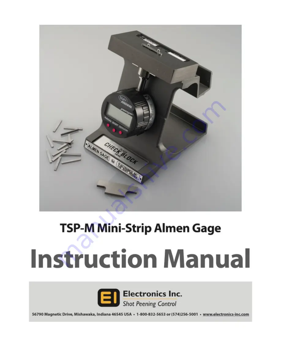 Electronics TSP-M Instruction Manual Download Page 1