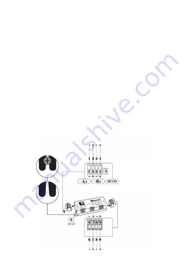 Electrovision B427BL Quick Start Manual Download Page 3