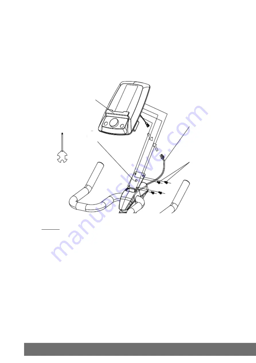 Elite Fitness FALCON Assembly Manual Download Page 10