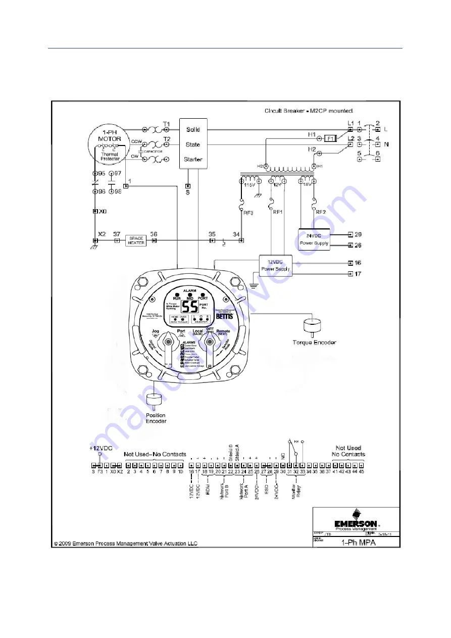 Emerson Bettis Multiport Installation, Operation And Maintenance Manual Download Page 38