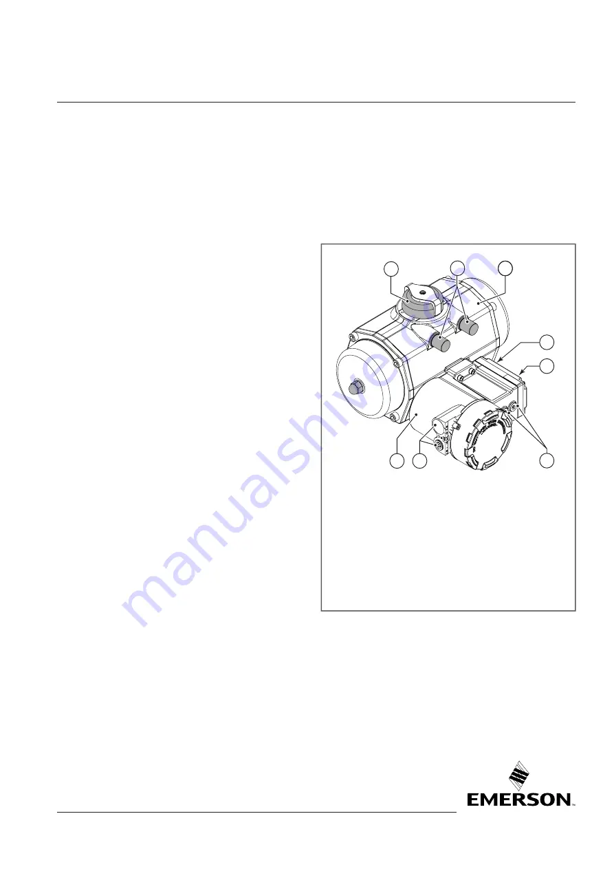 Emerson FieldQ Q100 Product Data Sheet Download Page 3