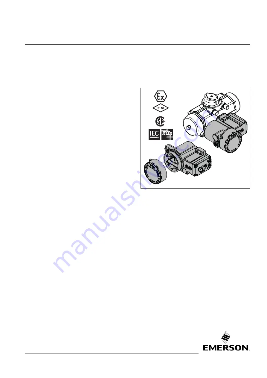 Emerson FieldQ Q100 Product Data Sheet Download Page 18