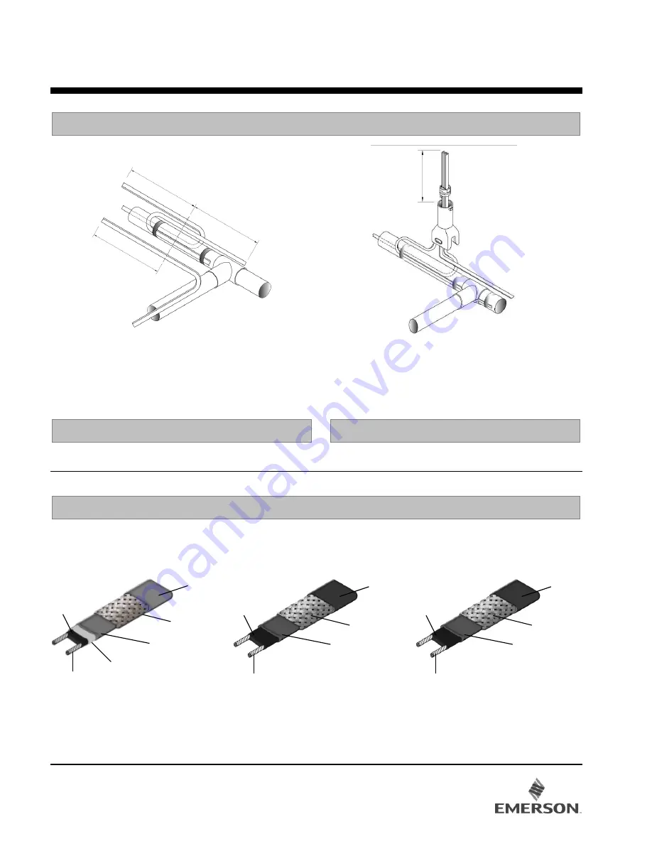 Emerson NELSON AXPTC125 Installation Instructions Manual Download Page 2