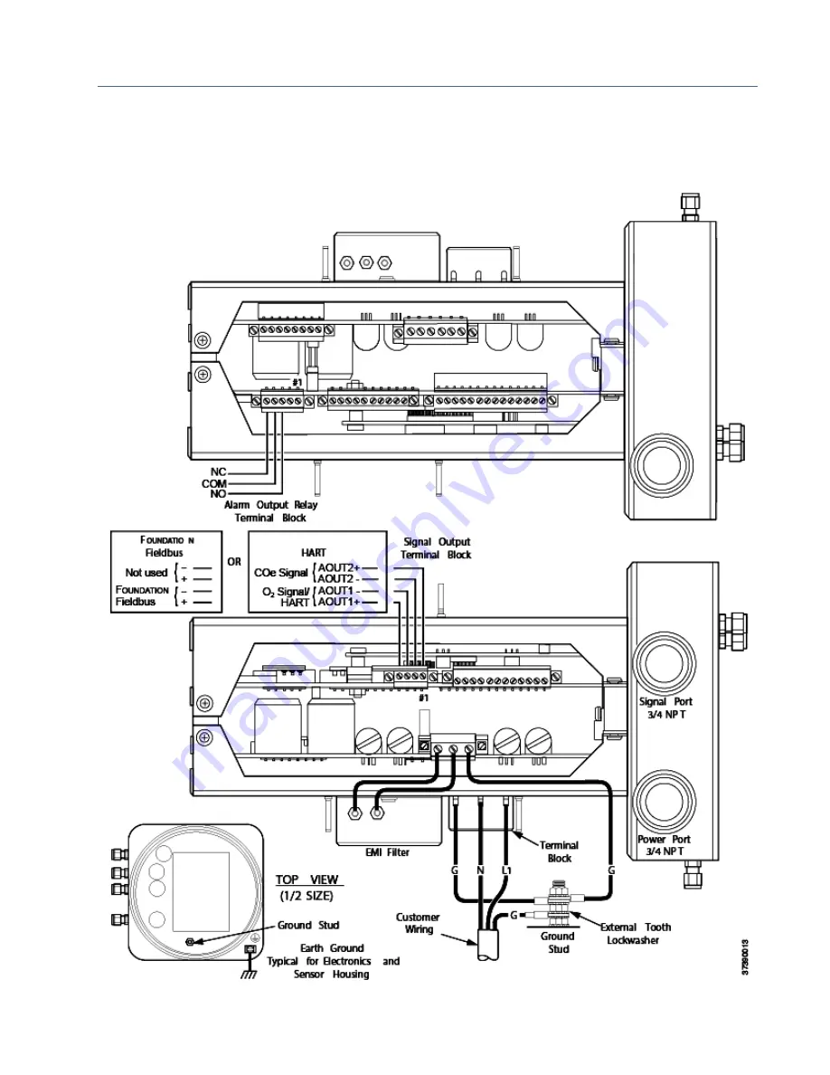 Emerson Rosemount OCX 8800 Скачать руководство пользователя страница 51