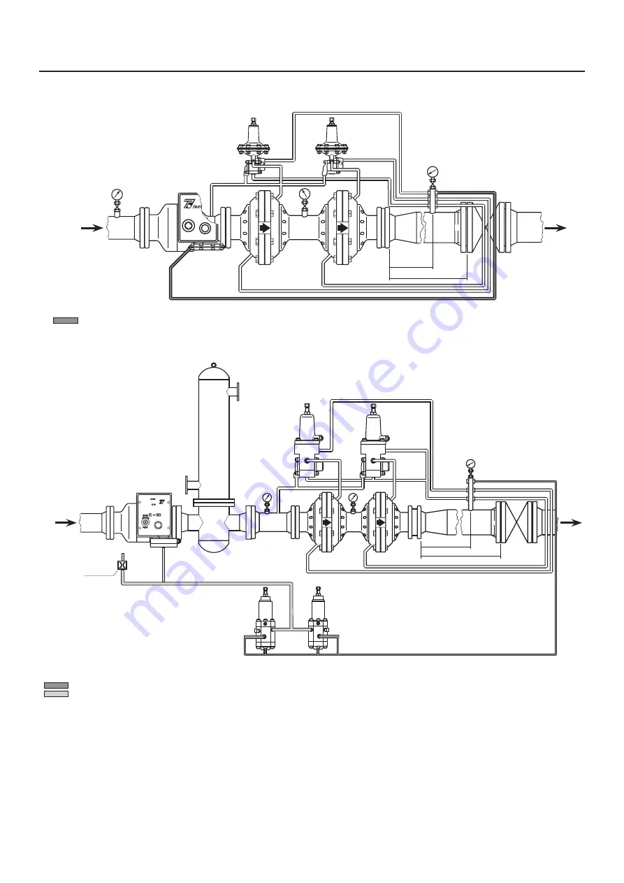 Emerson TARTARINI BM5A Instruction Manual Download Page 6