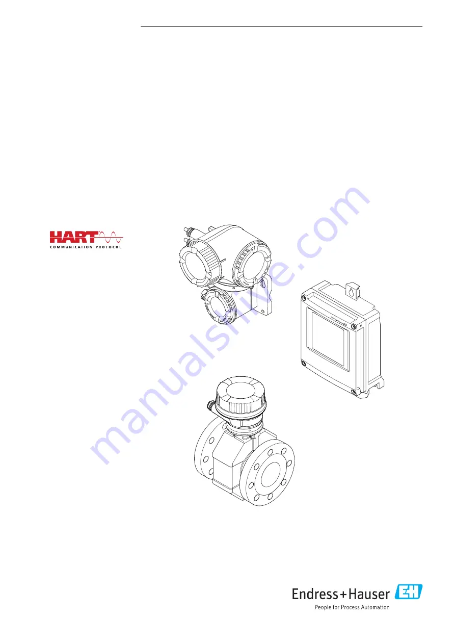 Endress+Hauser Hart Proline Promag P 500 Скачать руководство пользователя страница 1