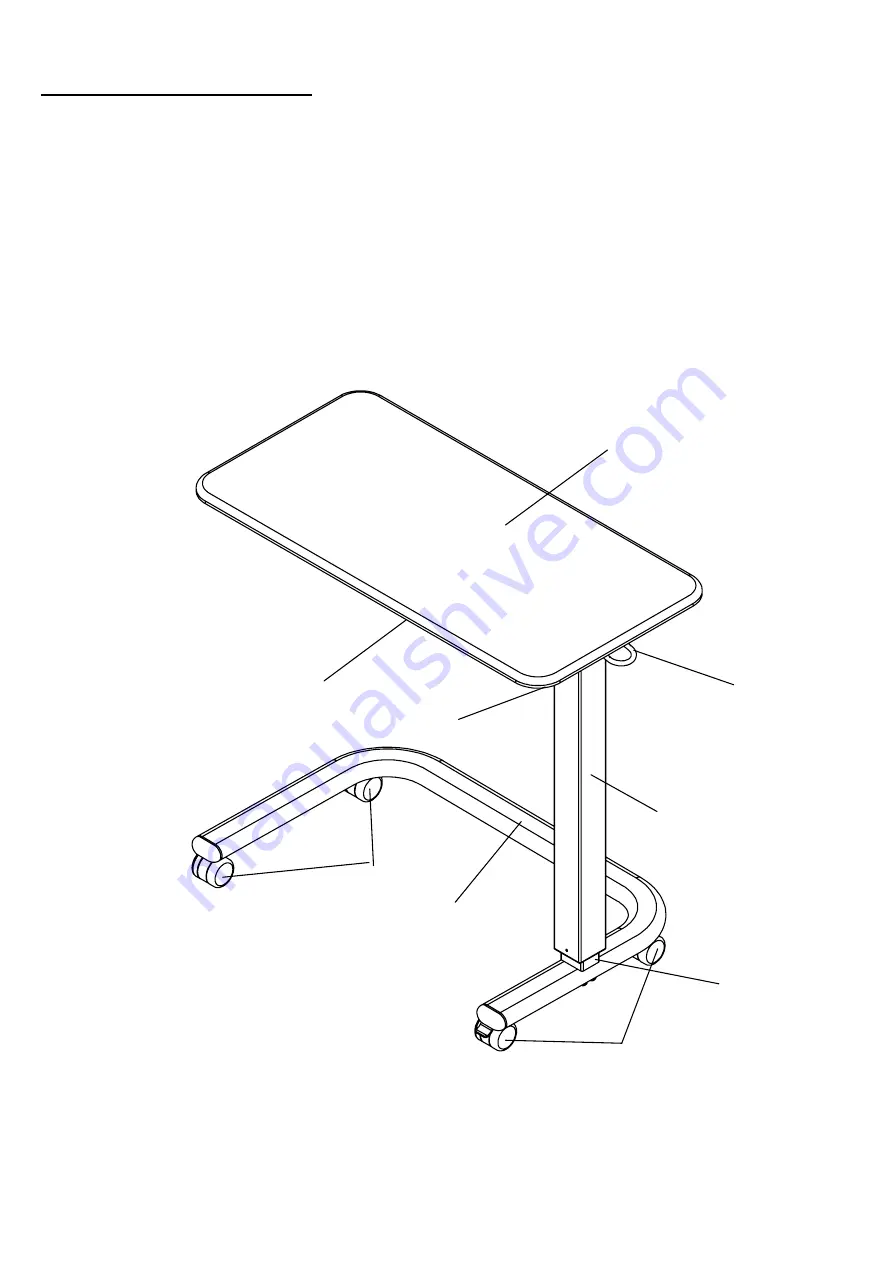 Enigma Care ENT-1001C Скачать руководство пользователя страница 3