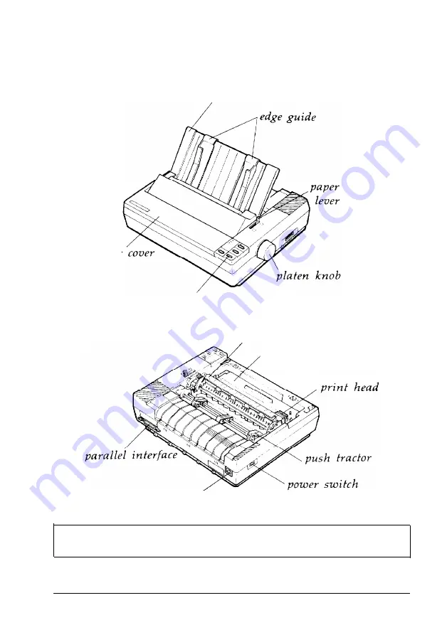 Epson ActionPrinter 2000 User Manual Download Page 13