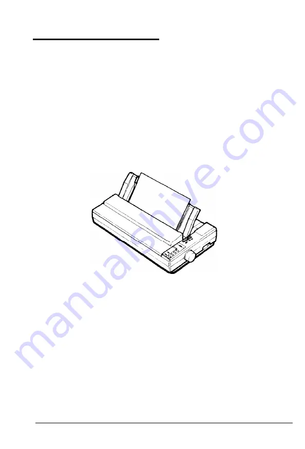 Epson ActionPrinter 4500 User Manual Download Page 105