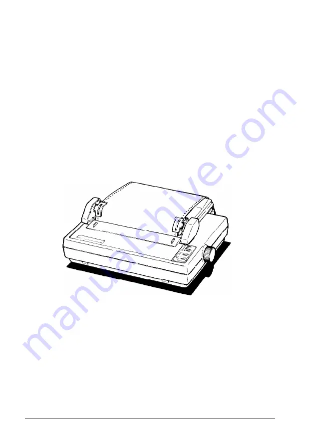 Epson ActionPrinter T-1000 User Manual Download Page 23