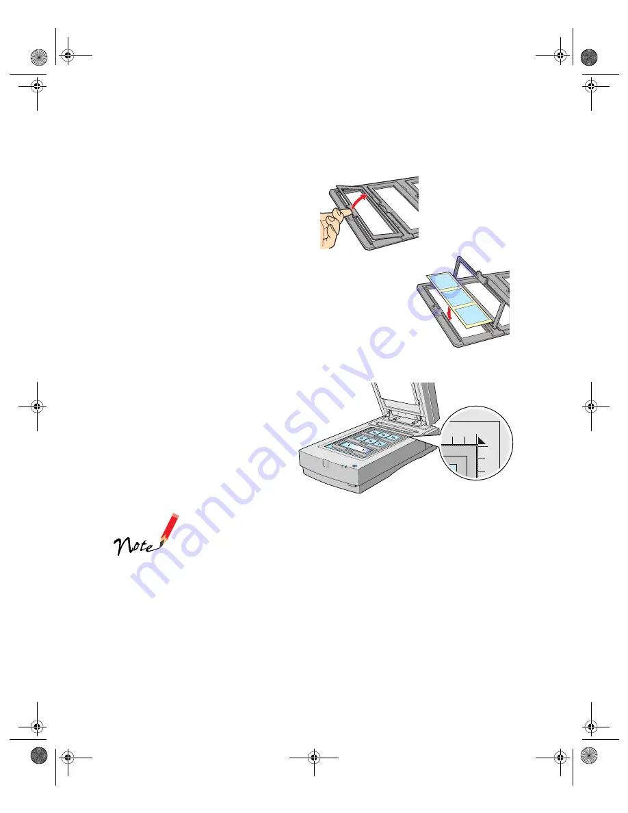 Epson B813182 Скачать руководство пользователя страница 8