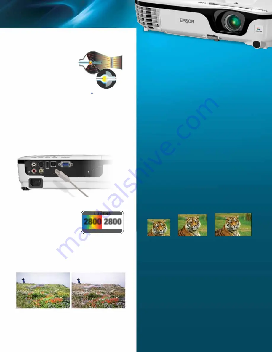 Epson EX3210 Скачать руководство пользователя страница 3