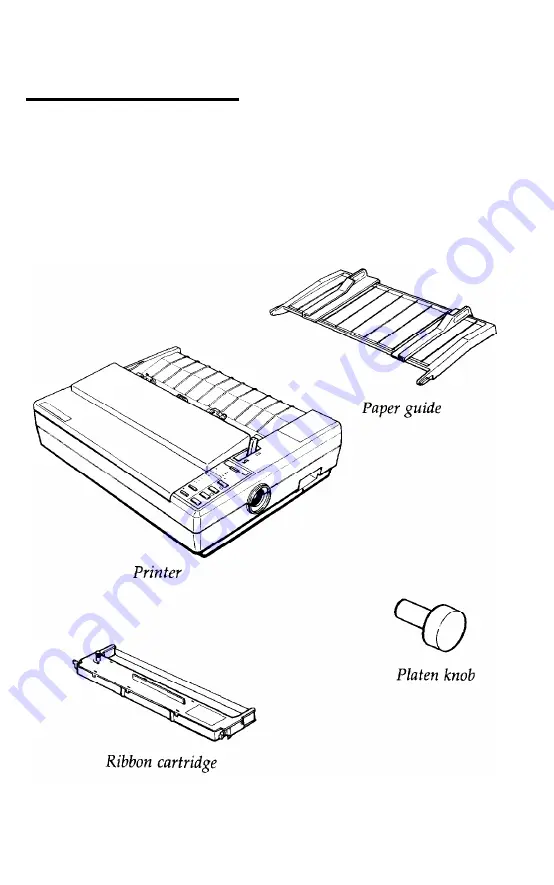 Epson LQ-510 User Manual Download Page 15