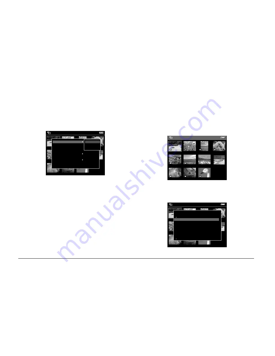 Epson P-2000 - Multimedia Storage Viewer User Manual Download Page 42