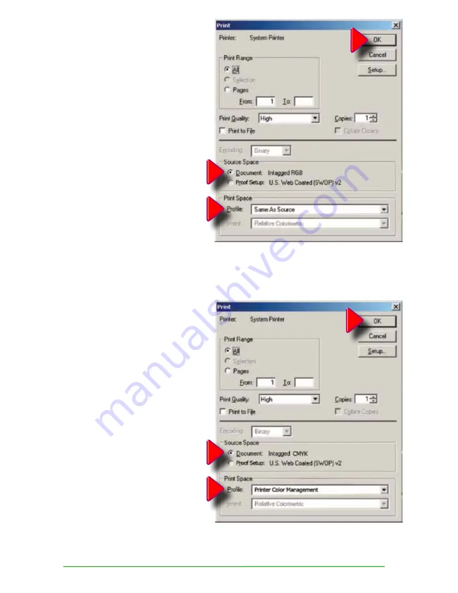 Epson R1900 - Stylus Photo Color Inkjet Printer Getting Started Manual Download Page 51