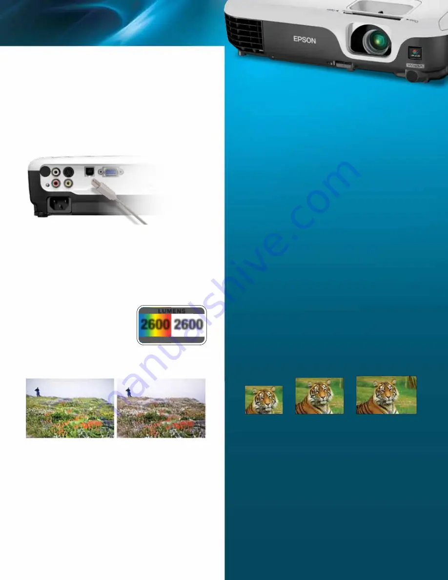 Epson VS315W Product Overview Download Page 3