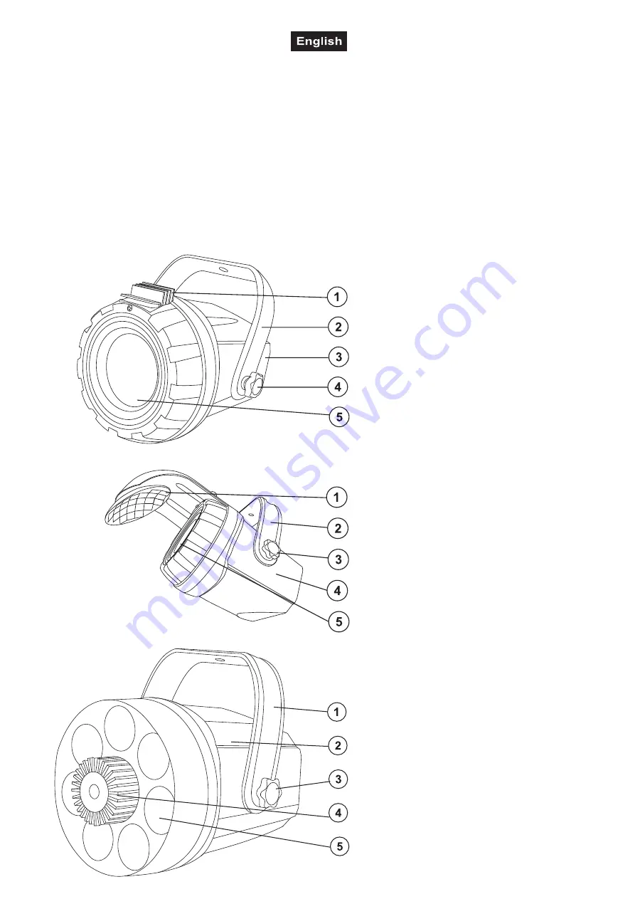 EuroLite LED Mini Flower FE-10 Скачать руководство пользователя страница 12