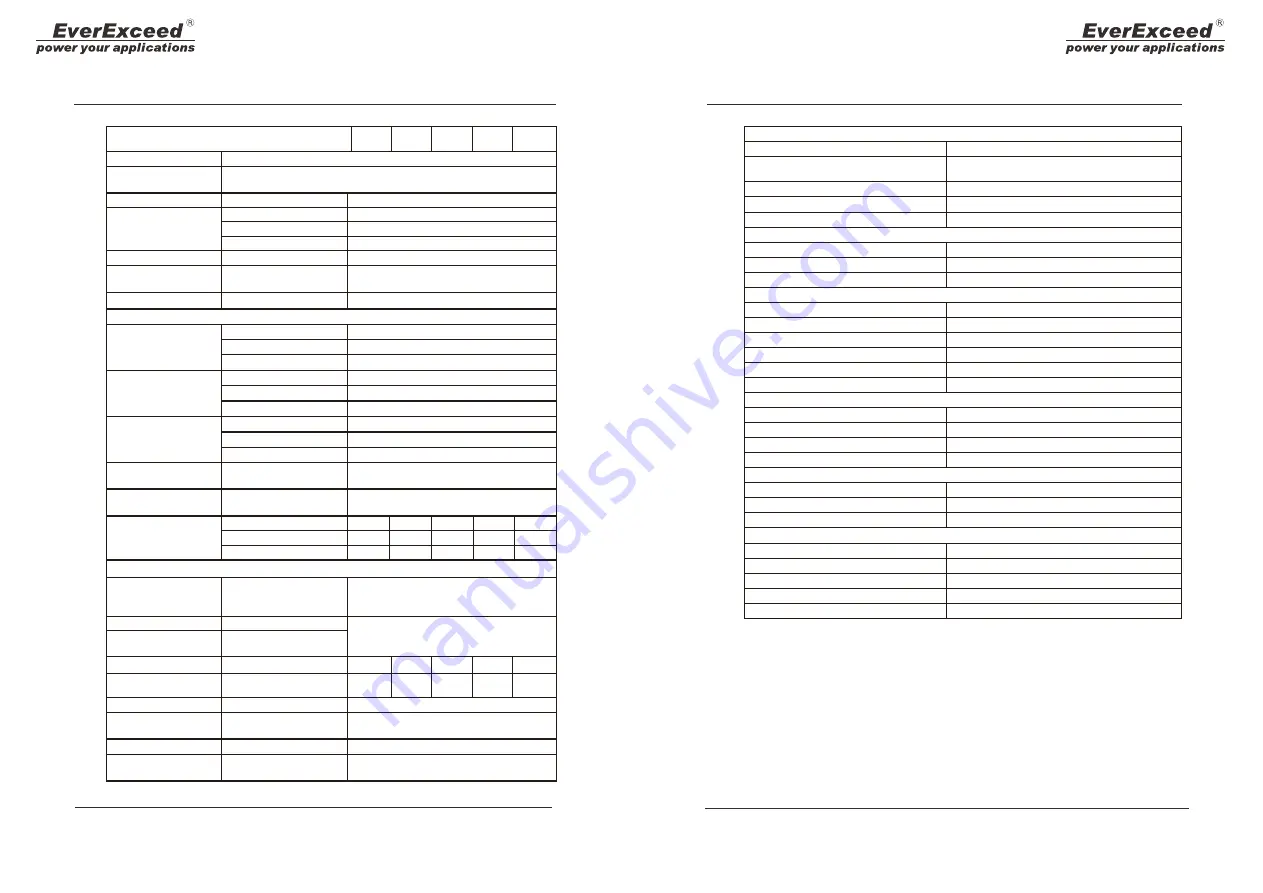 EverExceed Titan Series User Manual Download Page 12