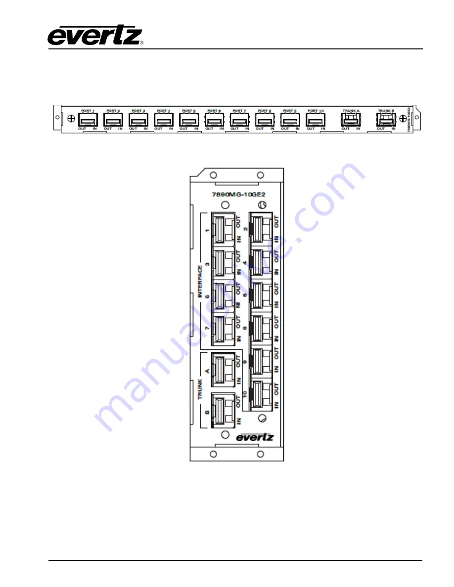 evertz 78908MG-10GE2 Скачать руководство пользователя страница 11