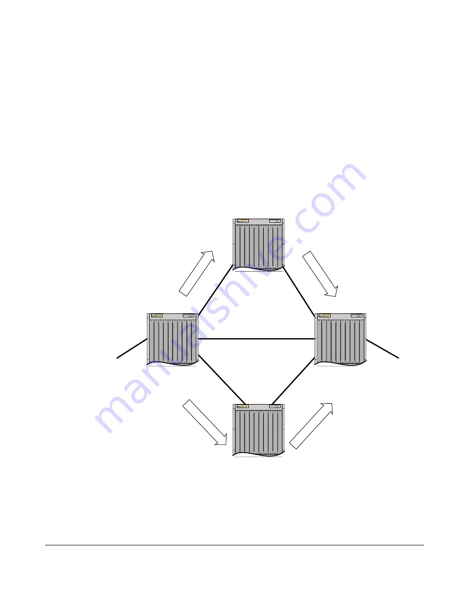 Extreme Networks BlackDiamond 6800 MPLS Скачать руководство пользователя страница 101