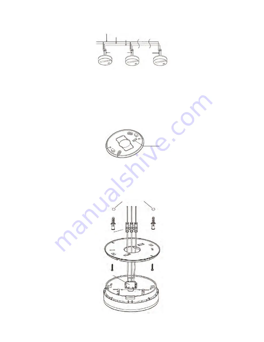 family first FFPACHI Manual Download Page 2