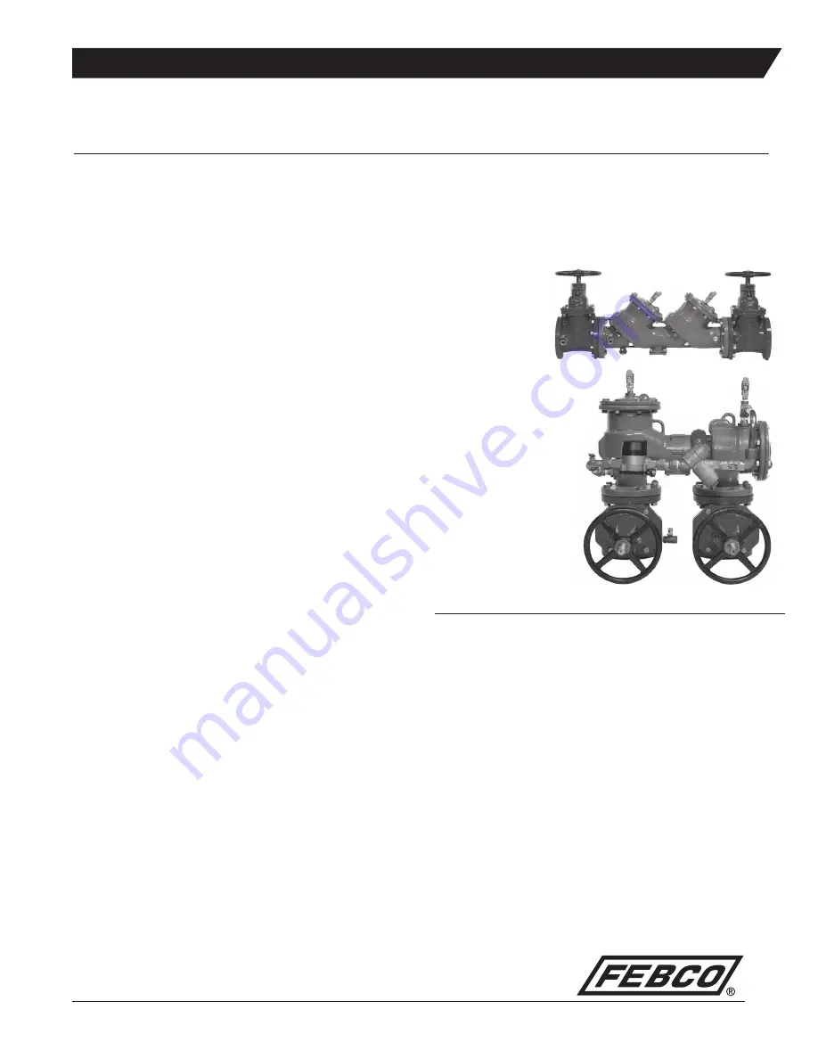 Febco 850 Series Maintenance Manual Download Page 1