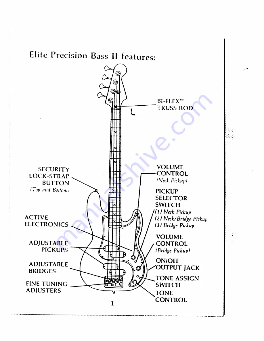 Fender ELITE PRECISION BASS I Скачать руководство пользователя страница 3