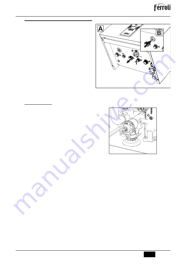 ferolli BlueHelix ALPHA C Instructions For Use, Maintenance And Installation Manual Download Page 11