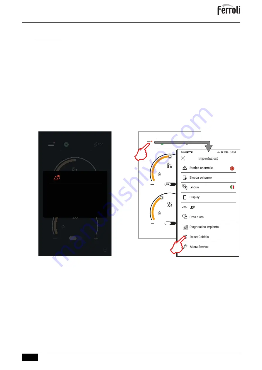 ferolli BLUEHELIX MAXIMA 24C Instructions For Use, Installation And Maintenance Download Page 221