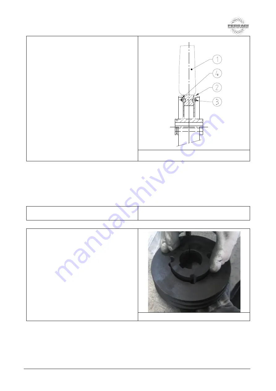 Ferrari AF Series Warnings And Instructions For Use Download Page 91