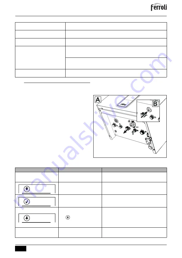 Ferroli BlueHelix HiTech RRT C Instructions For Use, Maintenance And Installation Manual Download Page 19