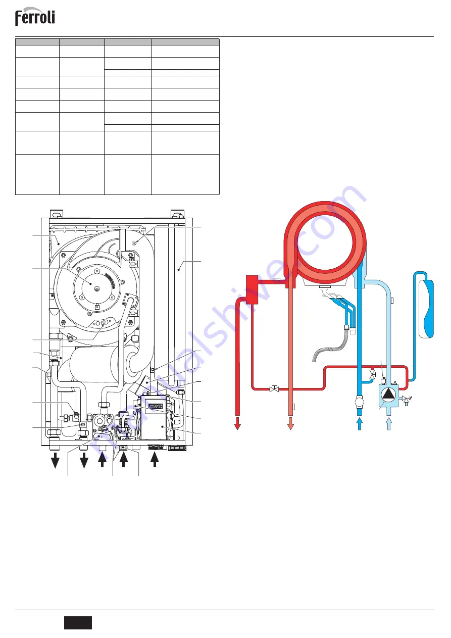 Ferroli BLUEHELIX PRO 25C Instructions For Use, Installation And Maintenance Download Page 22