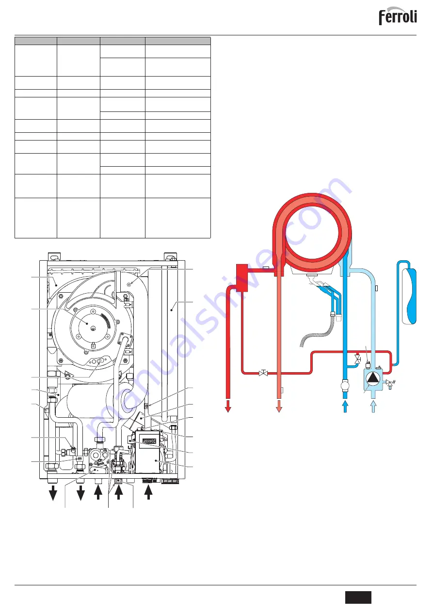 Ferroli BLUEHELIX PRO 25C Instructions For Use, Installation And Maintenance Download Page 45