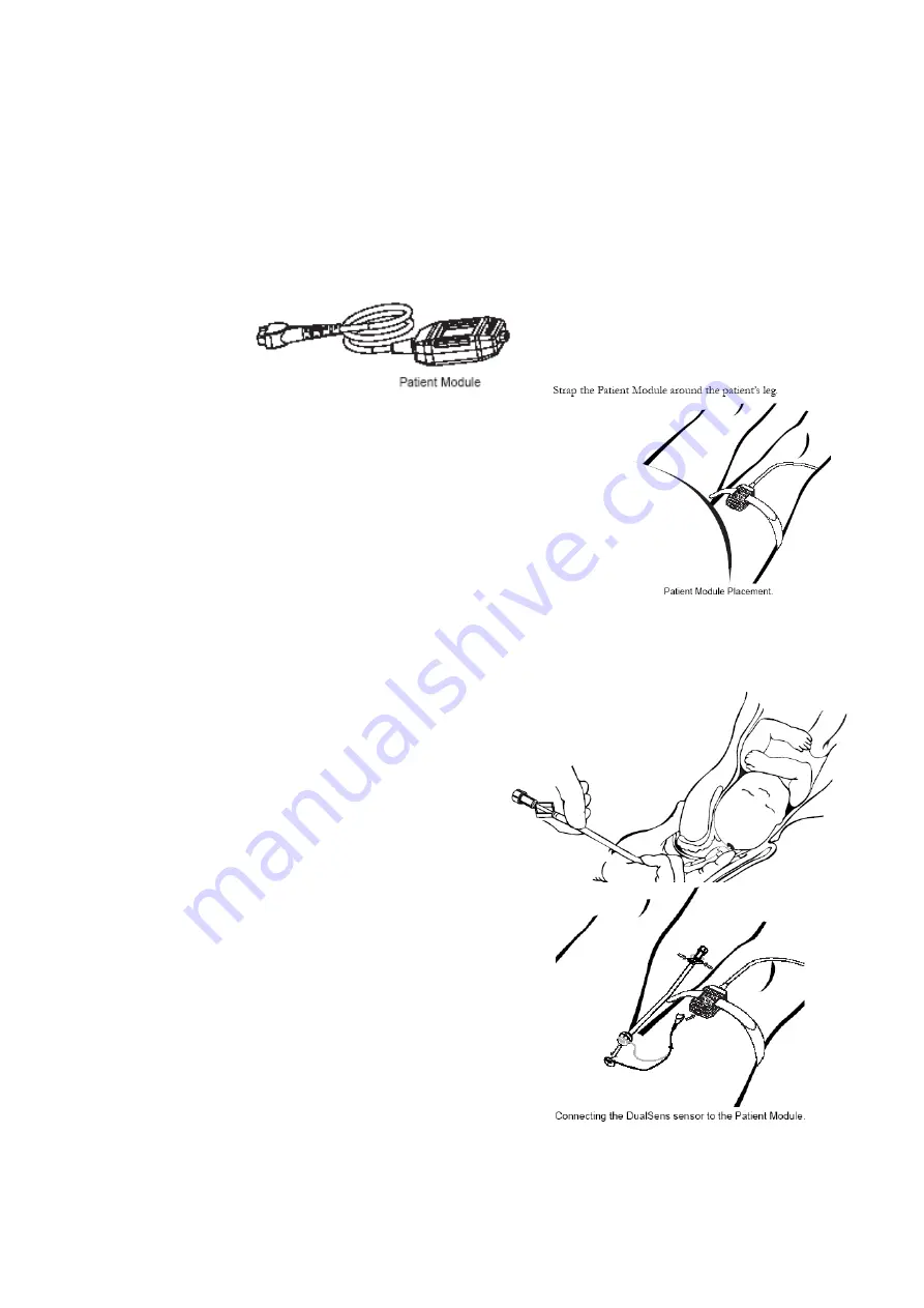 fetatrack 360 User Manual Download Page 18