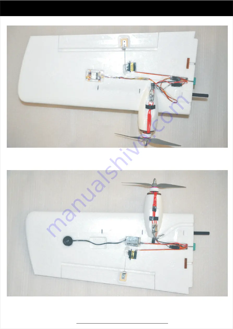 Finwinghobby AlbaBird FPV User Manual Download Page 19