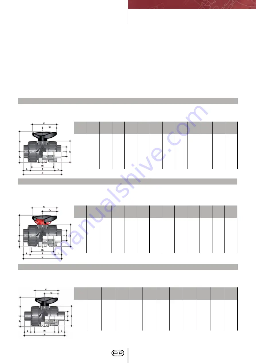 FIP CM PVC-C Скачать руководство пользователя страница 20