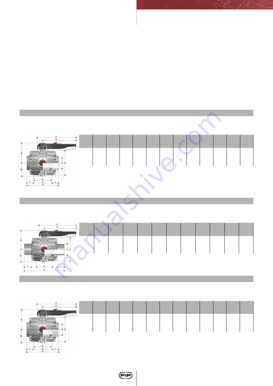 FIP CM PVC-C Manual Download Page 40